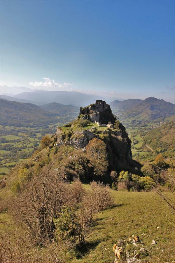 Toupinat Vila Montferrier Exterior foto