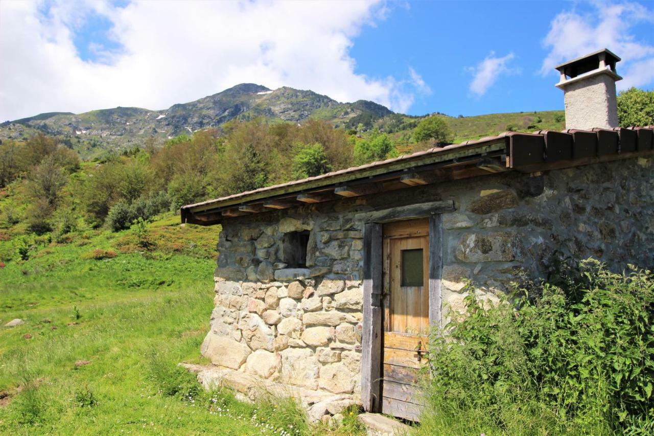 Toupinat Vila Montferrier Exterior foto